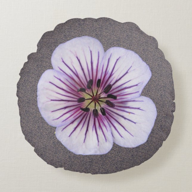 Botanische hellblaue Pelargonie-Blume Rundes Kissen (Vorderseite)