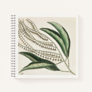 Botanische Illustration 18. Jahrhundert Kunst Noti Notizbuch