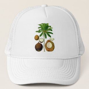 Botanische Illustration der Kokospalme Truckerkappe