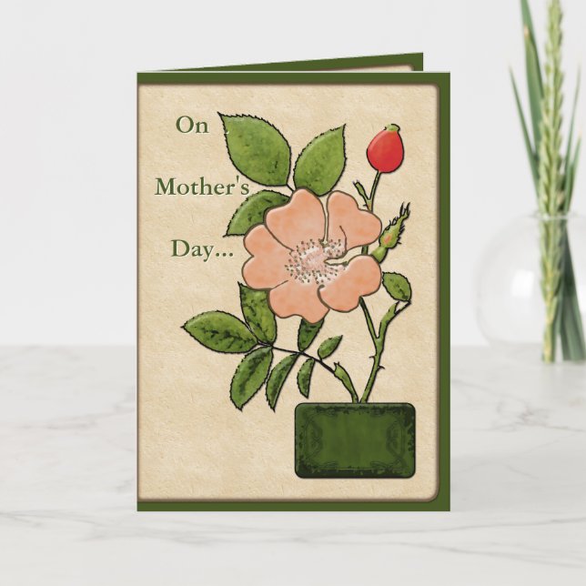 Botanische Illustration der rosafarbenen Rose - Pe Karte (Vorderseite)