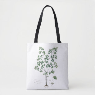 Botanische Illustration des Frauenhaarfarns im Vin Tasche