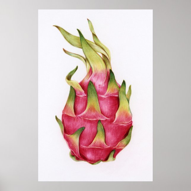 Botanische Illustration Poster (Vorne)