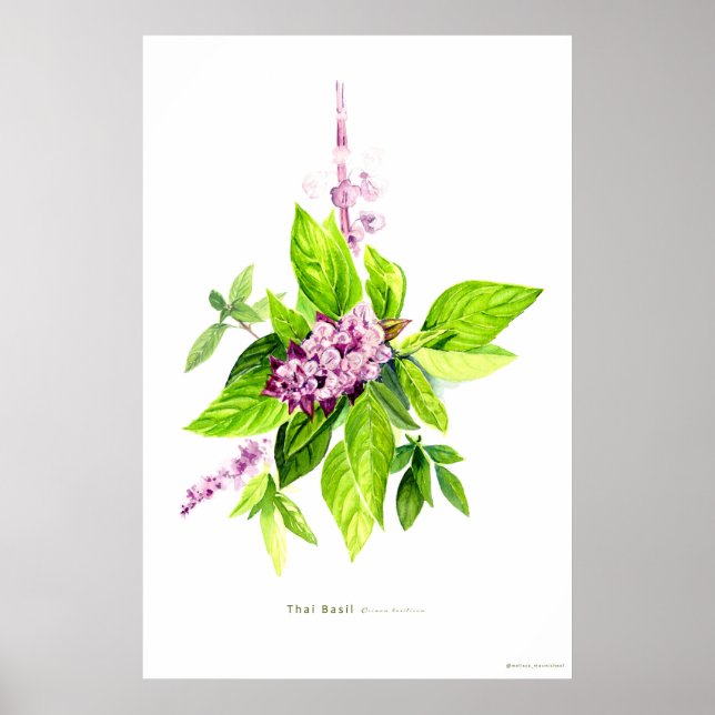 Botanische Illustration Poster (Vorne)
