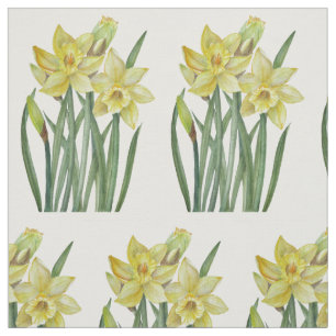 Botanische Illustration Stoff