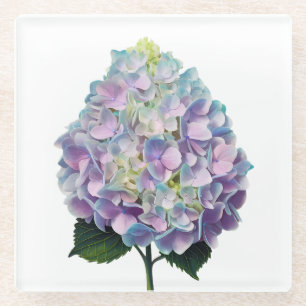 Botanische Illustration von Weich-Pastel-Hydrangea Glasuntersetzer