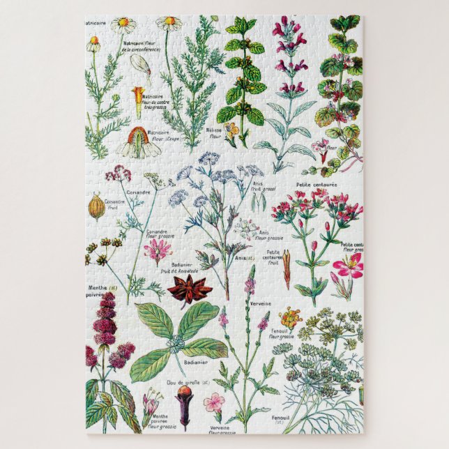 Botanische Illustrationen (Vertikal)