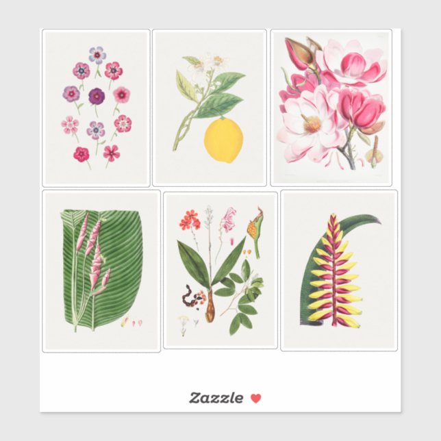 Botanische Illustrationen Aufkleber (Blatt)