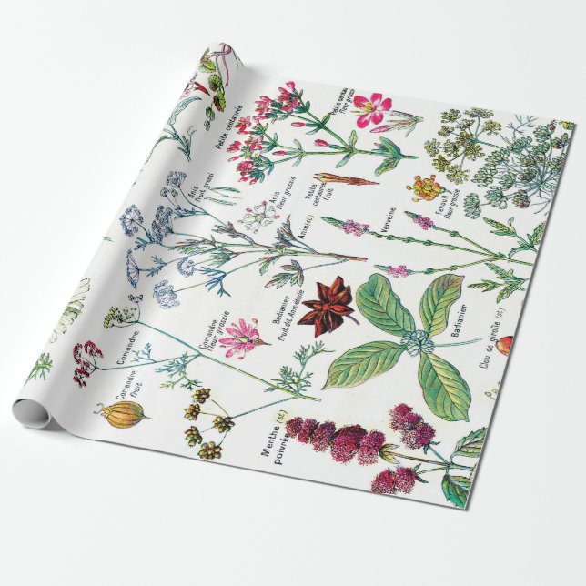 Botanische Illustrationen Geschenkpapier (Ungerollt)