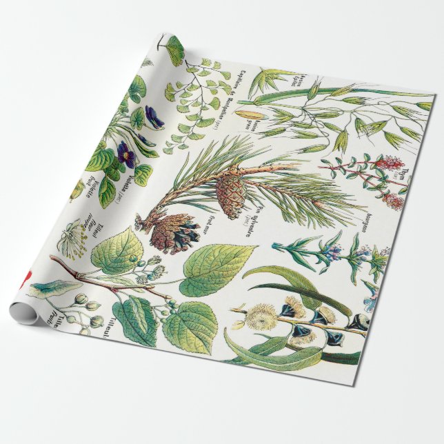 Botanische Illustrationen Geschenkpapier (Ungerollt)
