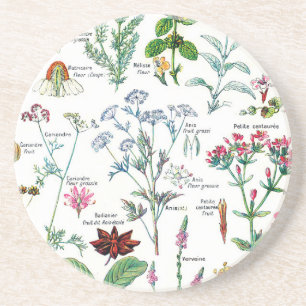 Botanische Illustrationen Getränkeuntersetzer