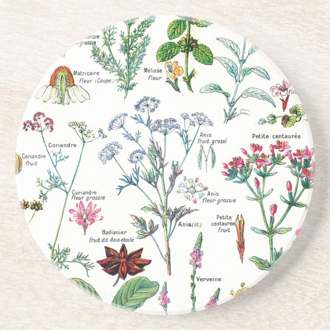 Botanische Illustrationen Getränkeuntersetzer (Vorne)