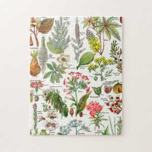 Botanische Illustrationen Jigsaw Puzzle