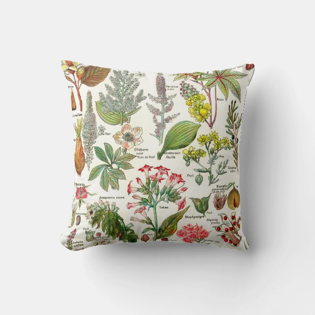Botanische Illustrationen Kissen (Vorderseite)