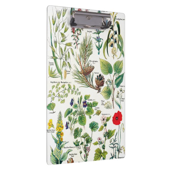 Botanische Illustrationen - Larousse Pflanzen Klemmbrett (Rechts)