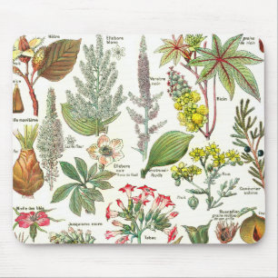 Botanische Illustrationen - Larousse Pflanzen Mousepad