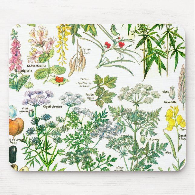 Botanische Illustrationen - Larousse Pflanzen Mousepad (Vorne)