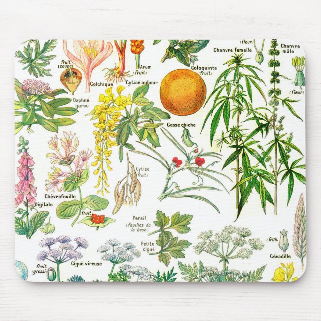 Botanische Illustrationen - Larousse Pflanzen Mousepad (Vorne)