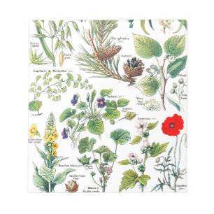 Botanische Illustrationen Notizblock