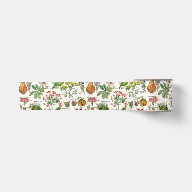Botanische Illustrationen Satin Ribbon Satinband (Vorderseite)