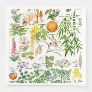 Botanische Illustrationen Serviette