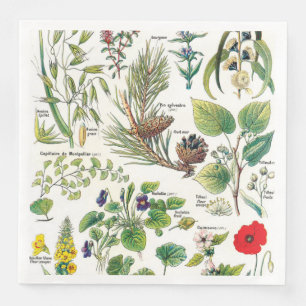 Botanische Illustrationen Serviette