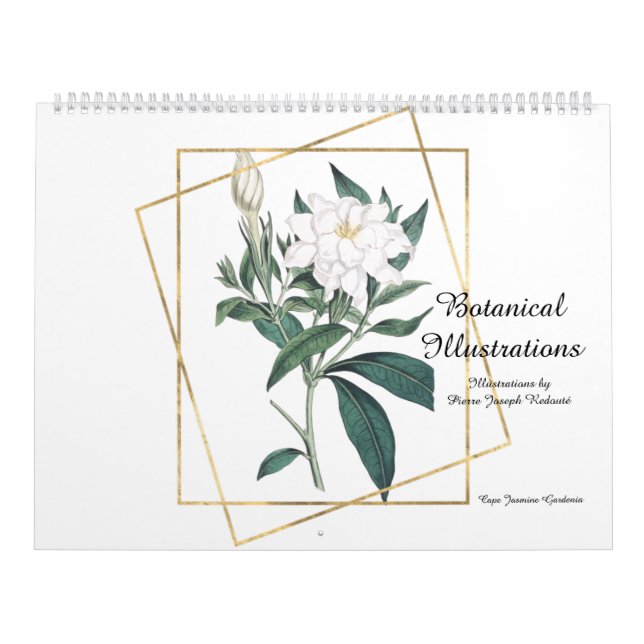Botanische Illustrationen von Pierre-Joseph Redout Kalender (Titelbild)