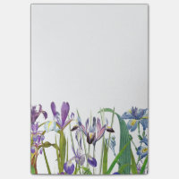 Botanische Iris-Blumen-Blumengarten Redoute
