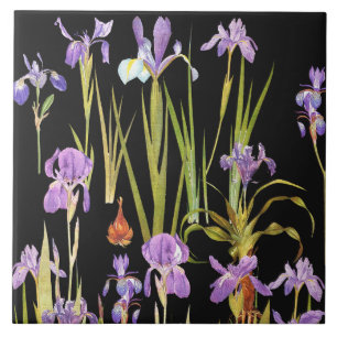 Botanische Iris-Blumen-Blumeniris Fliese