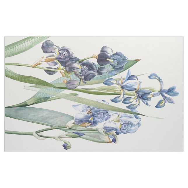 Botanische Iris-Blumen BlumenRedoute Gewebe Stoff (Yard (91,4 cm))