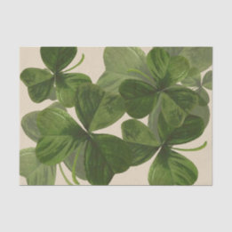 Botanische Kleeblatt-Fotos auf kundenspezifischer Seidenpapier