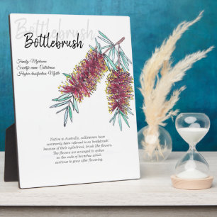 Botanische Kunst in Australien Fotoplatte