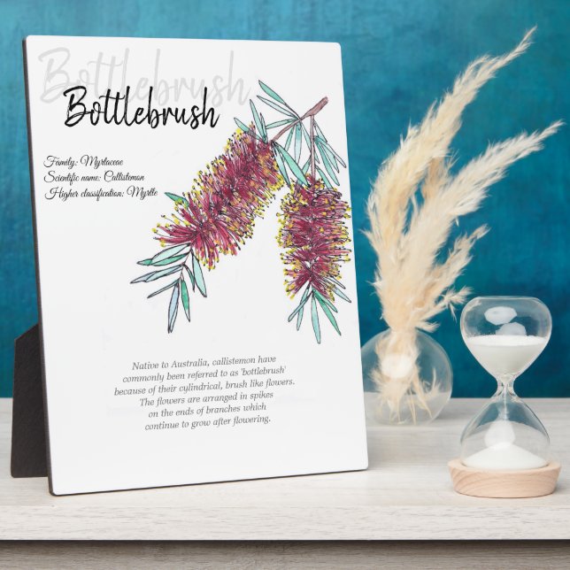 Botanische Kunst in Australien Fotoplatte (Seite)
