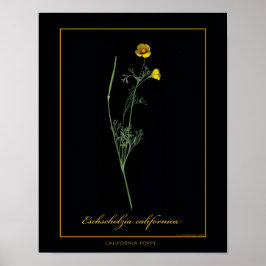Botanische Kunst in Kalifornien Poster