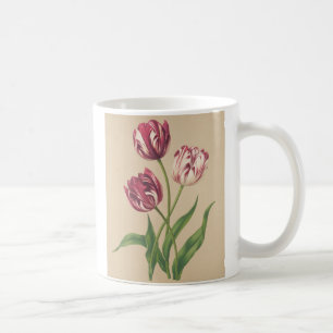 Botanische Kunst Kaffeetasse