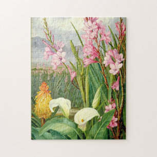 Botanische Kunst: Schönheiten des Sumpfes