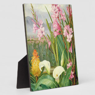 Botanische Kunst: Schönheiten des Sumpfes Fotoplatte