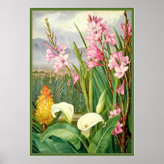 Botanische Kunst: Schönheiten des Sumpfes Poster
