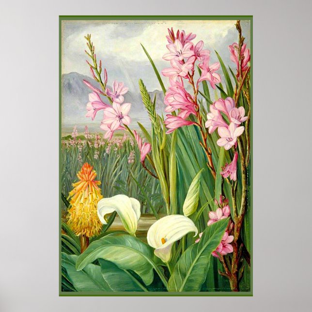 Botanische Kunst: Schönheiten des Sumpfes Poster (Vorne)