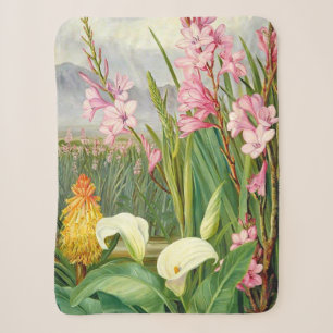 Botanische Kunst: Schönheiten des Sumpfes Sherpadecke