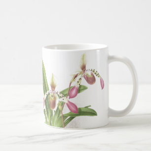 Botanische Ladys Pantoffel-Orchideen-Blumen mit Kaffeetasse