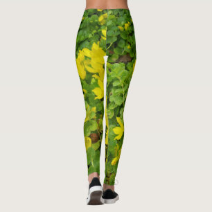 Botanische Leggings Creeping Jenny XS XL Joggen