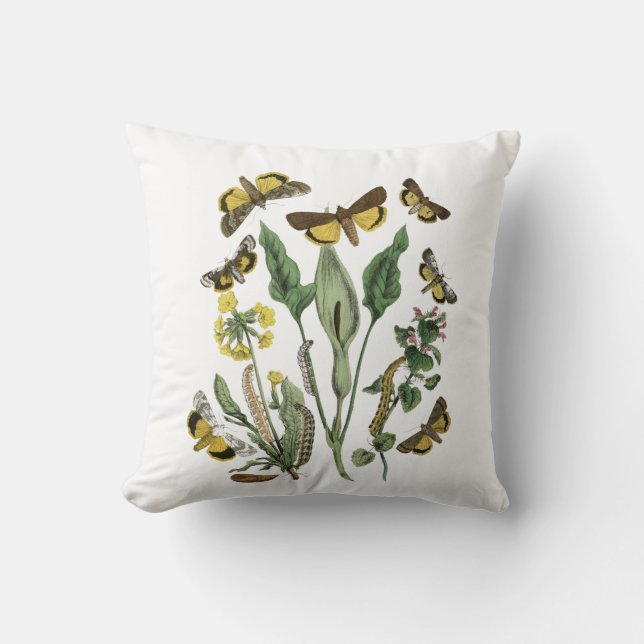 Botanische Motte und Schmetterlingskissen Kissen (Vorderseite)