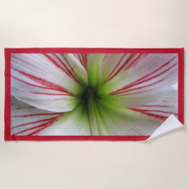 Botanische nahe hohe Foto-Amaryllis-Blume Strandtuch