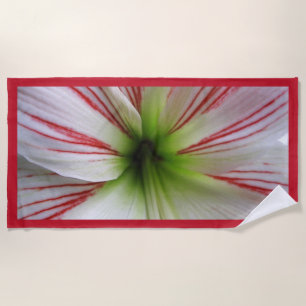 Botanische nahe hohe Foto-Amaryllis-Blume Strandtuch
