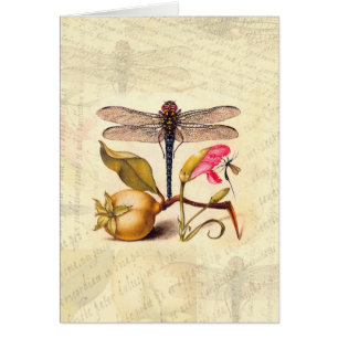 Botanische Natur der Libelle