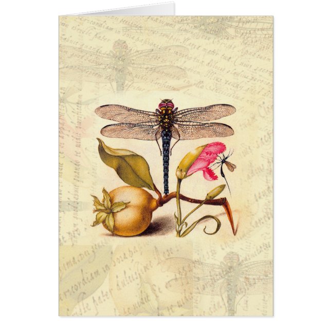 Botanische Natur der Libelle (Vorne)