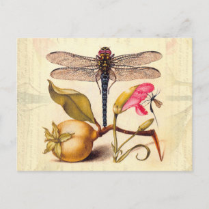 Botanische Natur der Libelle Postkarte