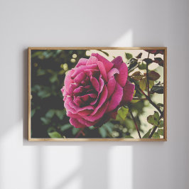 Botanische Natur Wandkunst Rosen Druck Poster