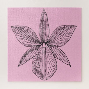 Botanische Orchidee Blassrosa Blume Blütenkalk