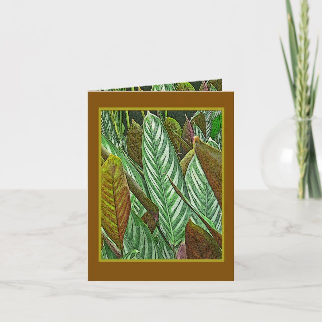 Botanische Pflanze Dieffenbachia Tropischer Dschun Dankeskarte (Vorderseite)
